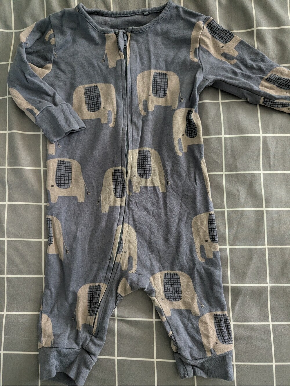 Next elephants sleeper